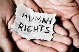 <p>187. The absence of unified international action</p>