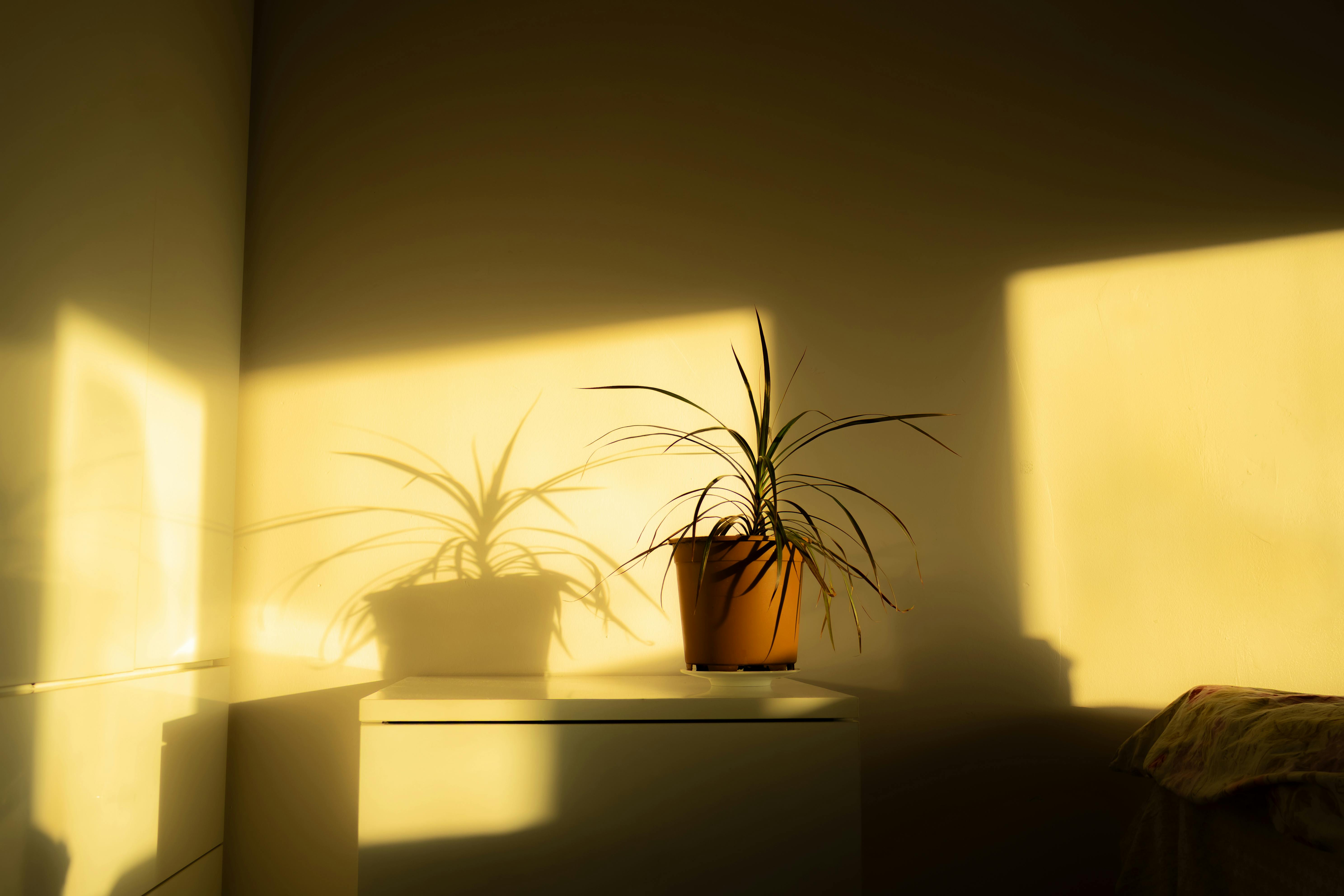<p>5. Living in The Moment</p>