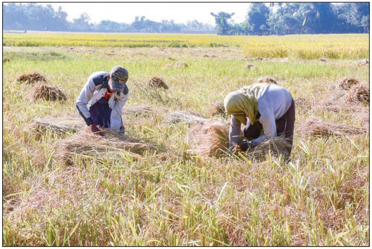 <p>185. Together with frogs, snails&nbsp;</p>