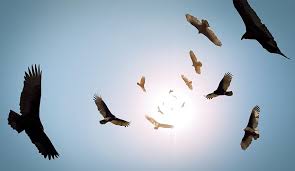 <p>120. Postcards from Naxalbari <em>(March 11-April 19, 1981)</em></p>